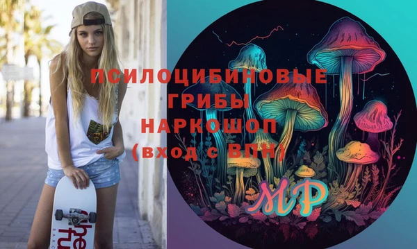 мдпв Армянск